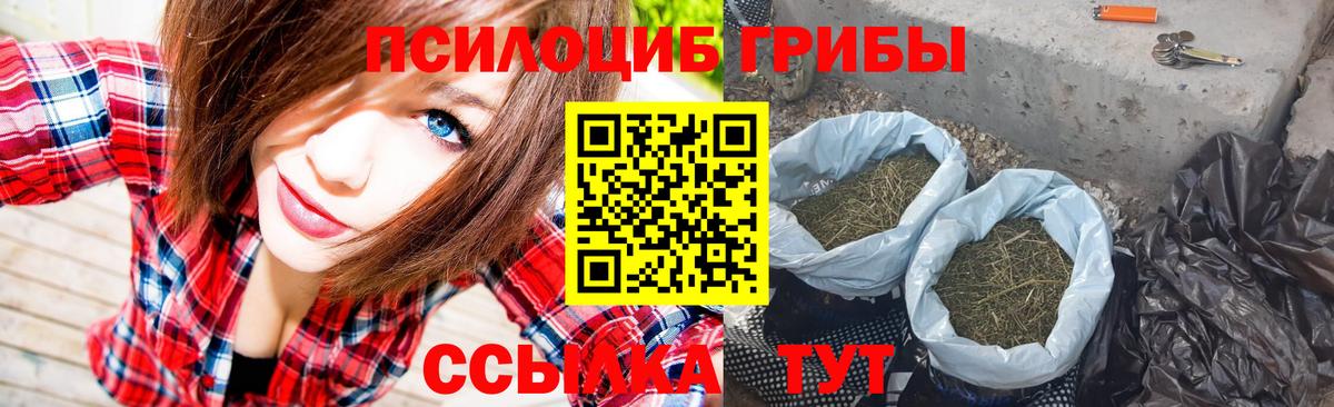 Галлюциногенные грибы Magic Shrooms  Вход с VPN  Чебоксары 