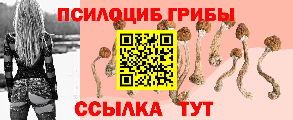 Псилоцибиновые грибы ЛСД Чебоксары